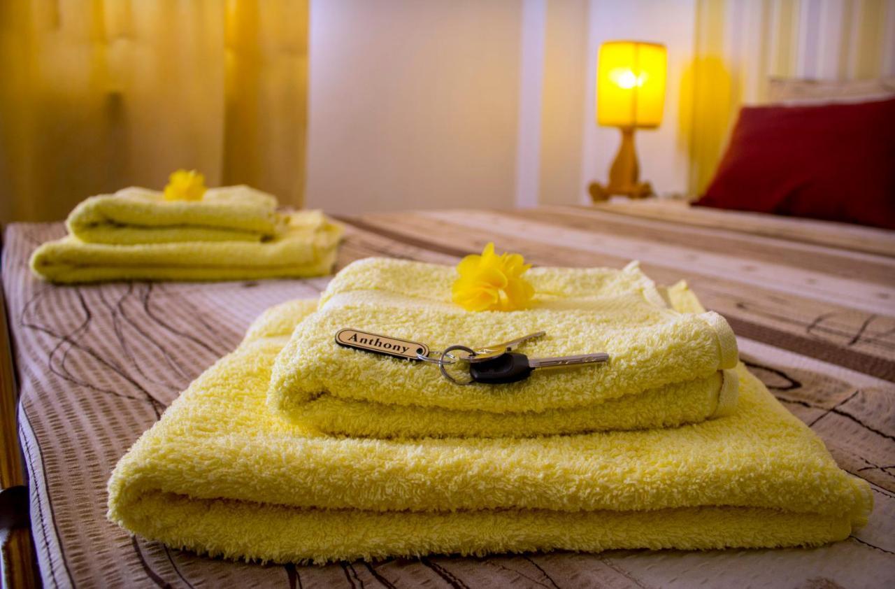 Anthony Apartment Nis Bagian luar foto