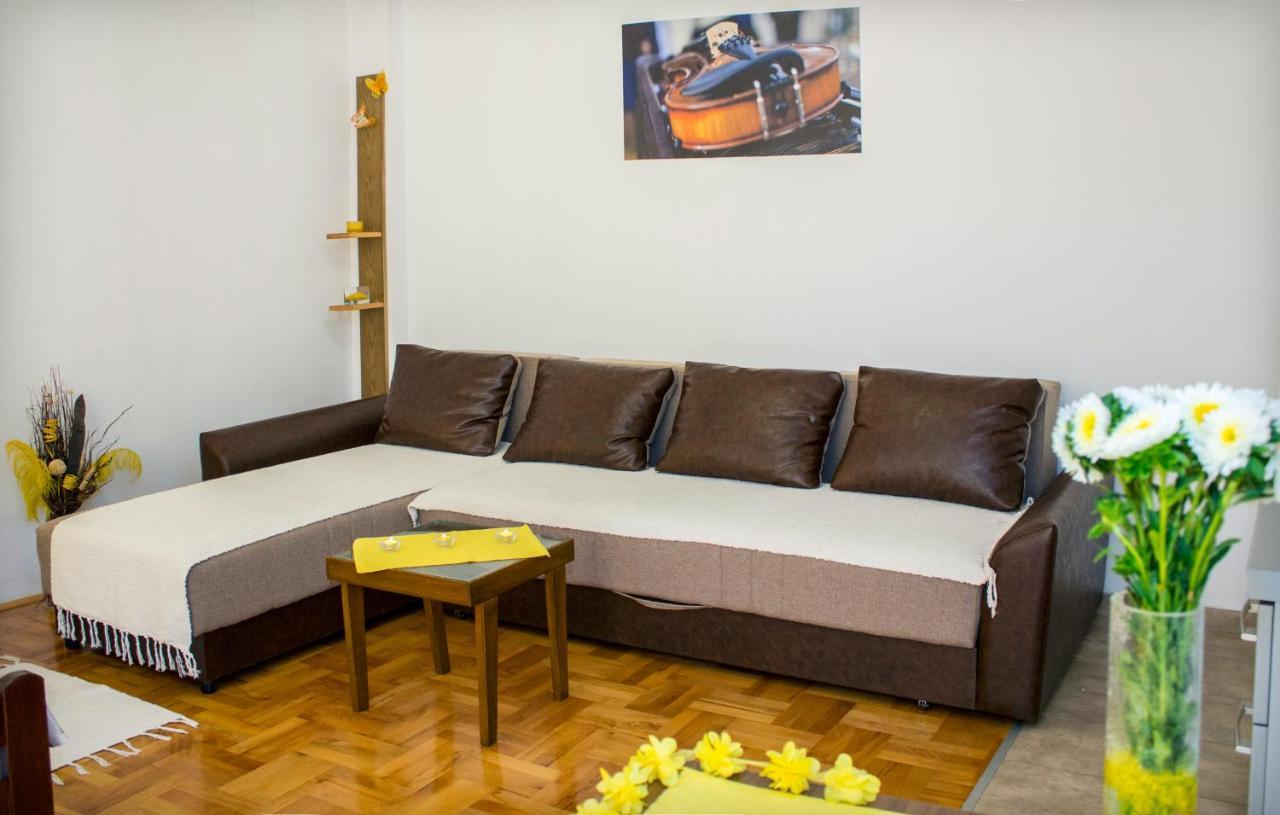 Anthony Apartment Nis Bagian luar foto