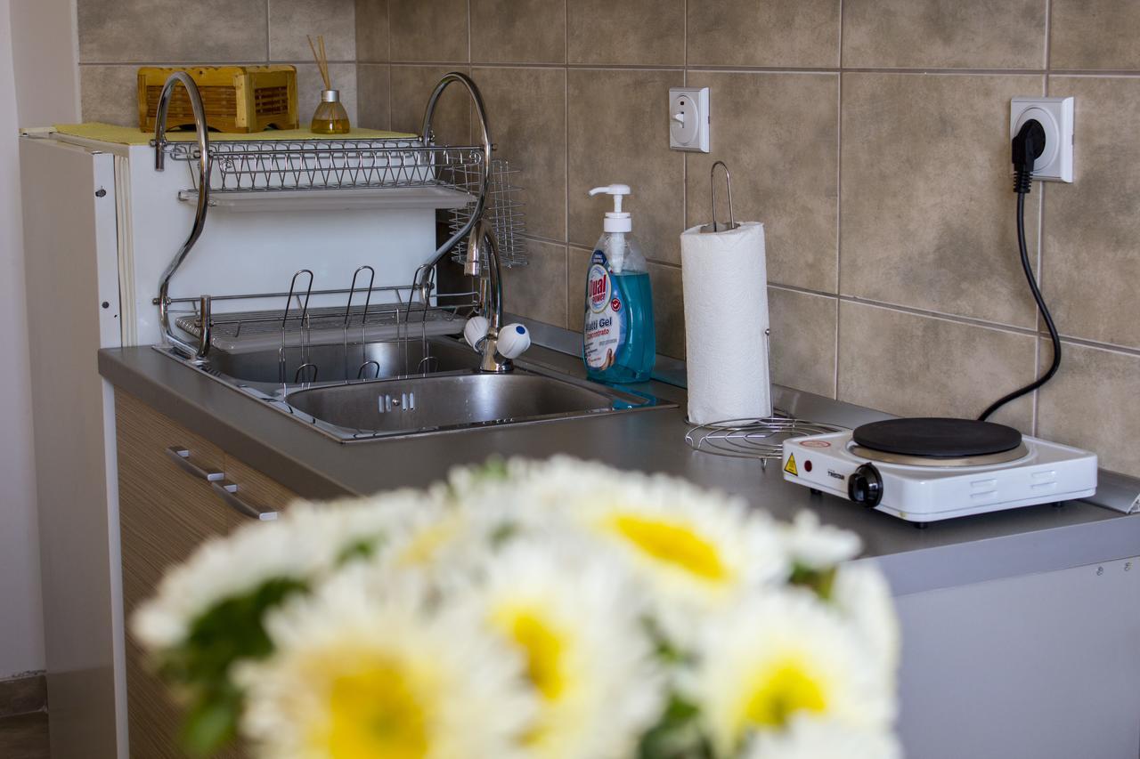 Anthony Apartment Nis Bagian luar foto